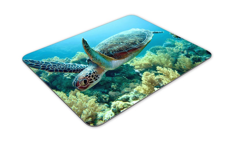 QJ CMJ Green sea Turtle Mouse pad  Natural Rubber Mouse Pad  Quality Creative Wrist-Protected Wristbands Personalized Desk  Mouse Pad (9.5 inch x 7.9 inch) - Image 2